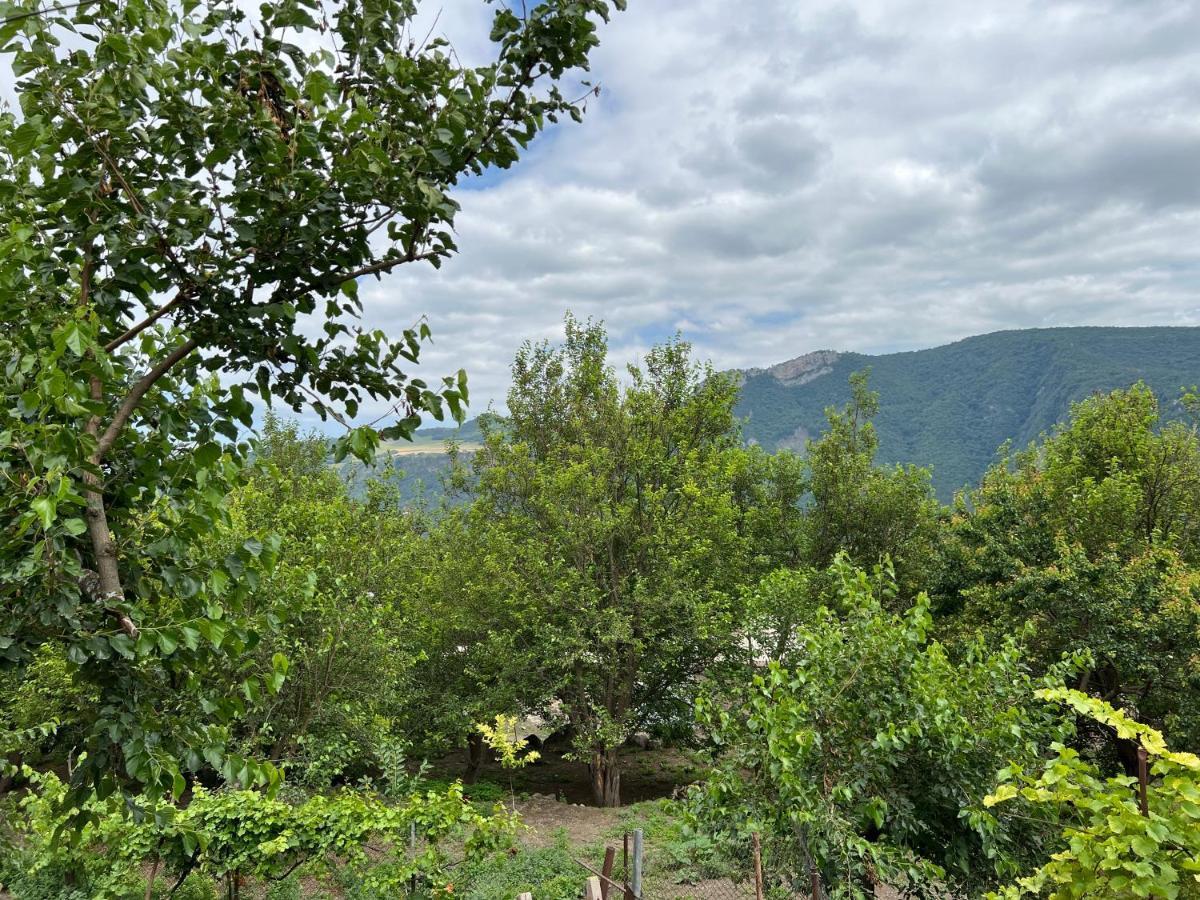 Arman Bed And Breakfast Halidzor Екстериор снимка